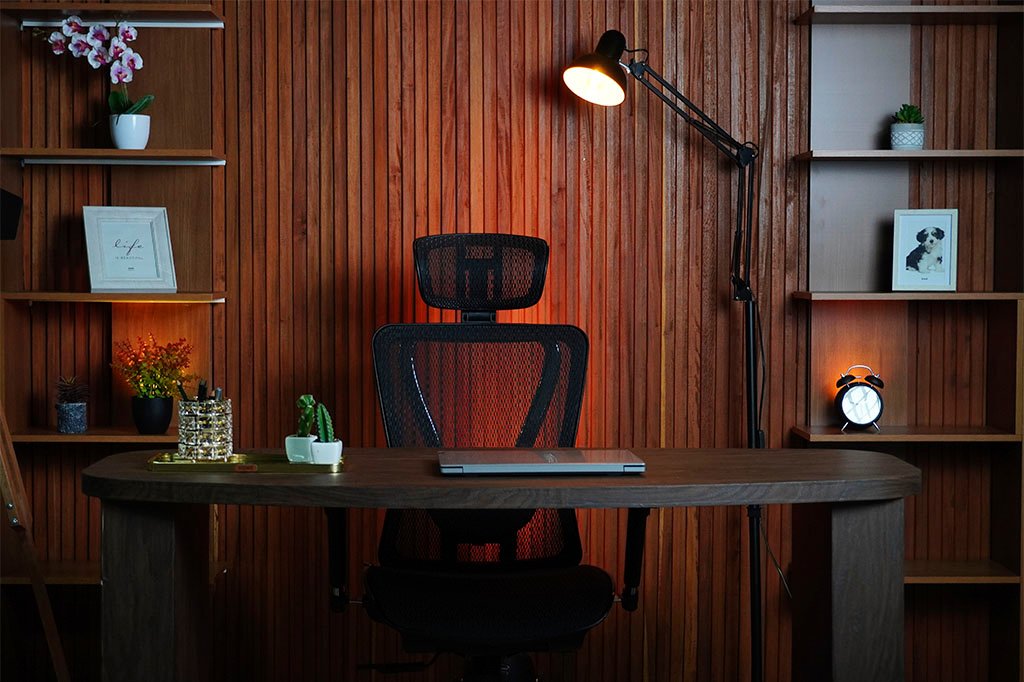 backbone_0014_DSC00114